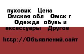 пуховик › Цена ­ 2 500 - Омская обл., Омск г. Одежда, обувь и аксессуары » Другое   